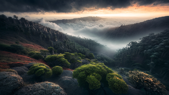 Misty Mountain Sunrise: A Tranquil Landscape of Fog and Golden Light