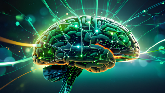 Mapping the Human Brain: Exploring Cognitive Functions and Neurotechnology Integration