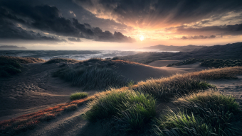 Serene Coastal Dunes at Sunrise: A Majestic Ocean Landscape