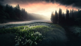 Serene Lakeside Landscape at Dawn with Stormy Skies and Lush Forest
