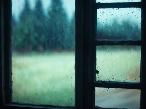 Through Tear-Streaked Panes: A Moody View of a Rainy Rural Morning