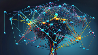 Visualizing Neural Networks: A Computer-Generated Map of Data Flow and Connections