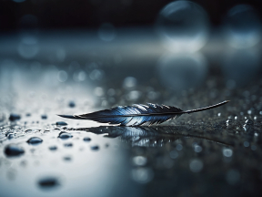 Solitary Feather on a Rain-Kissed Reflective Surface