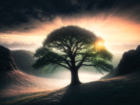 Serene Landscape: Majestic Tree by Reflective Waters at Sunrise