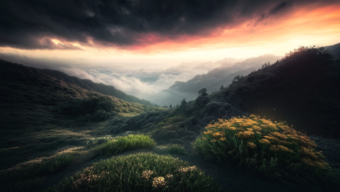 Majestic Mountain Peaks at Sunrise Amidst Mist and Wildflowers