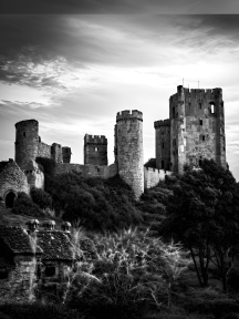 In attesa dell'immagine del prodotto