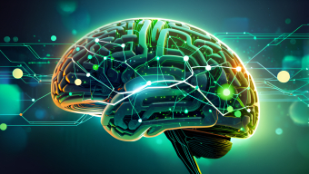 Digital Neural Networks: Bridging Human Brain and Artificial Intelligence