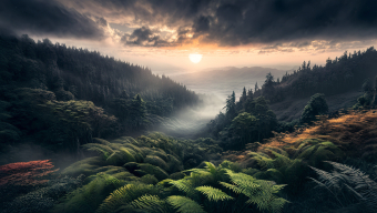Enchanted Forest at Dawn: A Mystical Fantasy Landscape