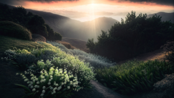 Sunlit Path Through Rolling Hills to Mountain Horizon
