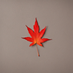 Vibrant Autumn Maple Leaf Against Textured Background