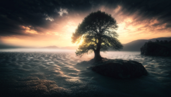 Surreal Sunset: A Dramatic Landscape of Shadow, Water, and Storm