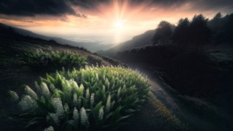 Sunrise Over Rugged Mountains: A Dramatic Landscape of Light and Shadow