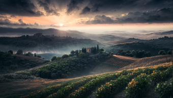 Sunrise Over a Tranquil Mediterranean Olive Grove and Hilltop Village