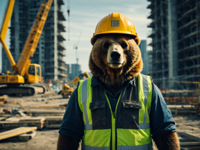 L’Orso Costruttore