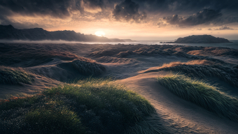 Tranquil Coastal Dunes at Sunrise: A Serene Seaside Landscape