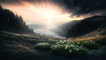 Sunlit Coastal Cliff with Wildflowers at Sunrise