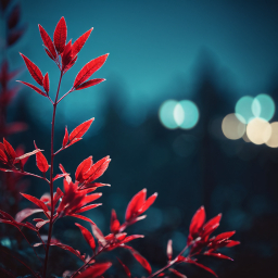 Vibrant Red Leaves Glistening in the Night Rain