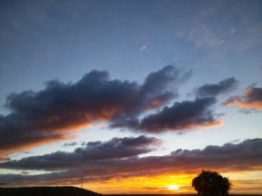 Serene Sunset: A Vibrant Sky Painted with Shades of Orange, Pink, and Purple Over a Silhouetted Tree