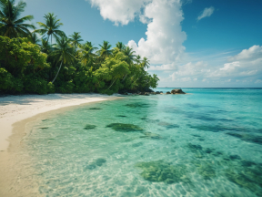 Plage de rêve sous les palmiers