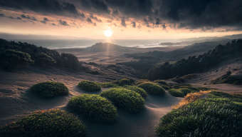 Golden Desert Dawn: A Serene Landscape of Resilience and Rugged Beauty